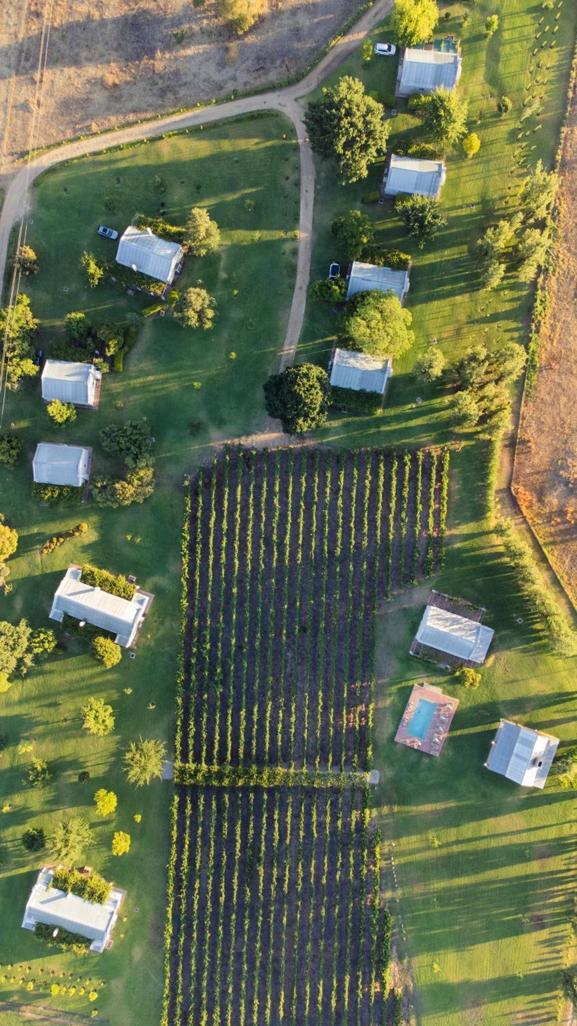 Saronsberg Vineyard Cottages Тульбах Экстерьер фото