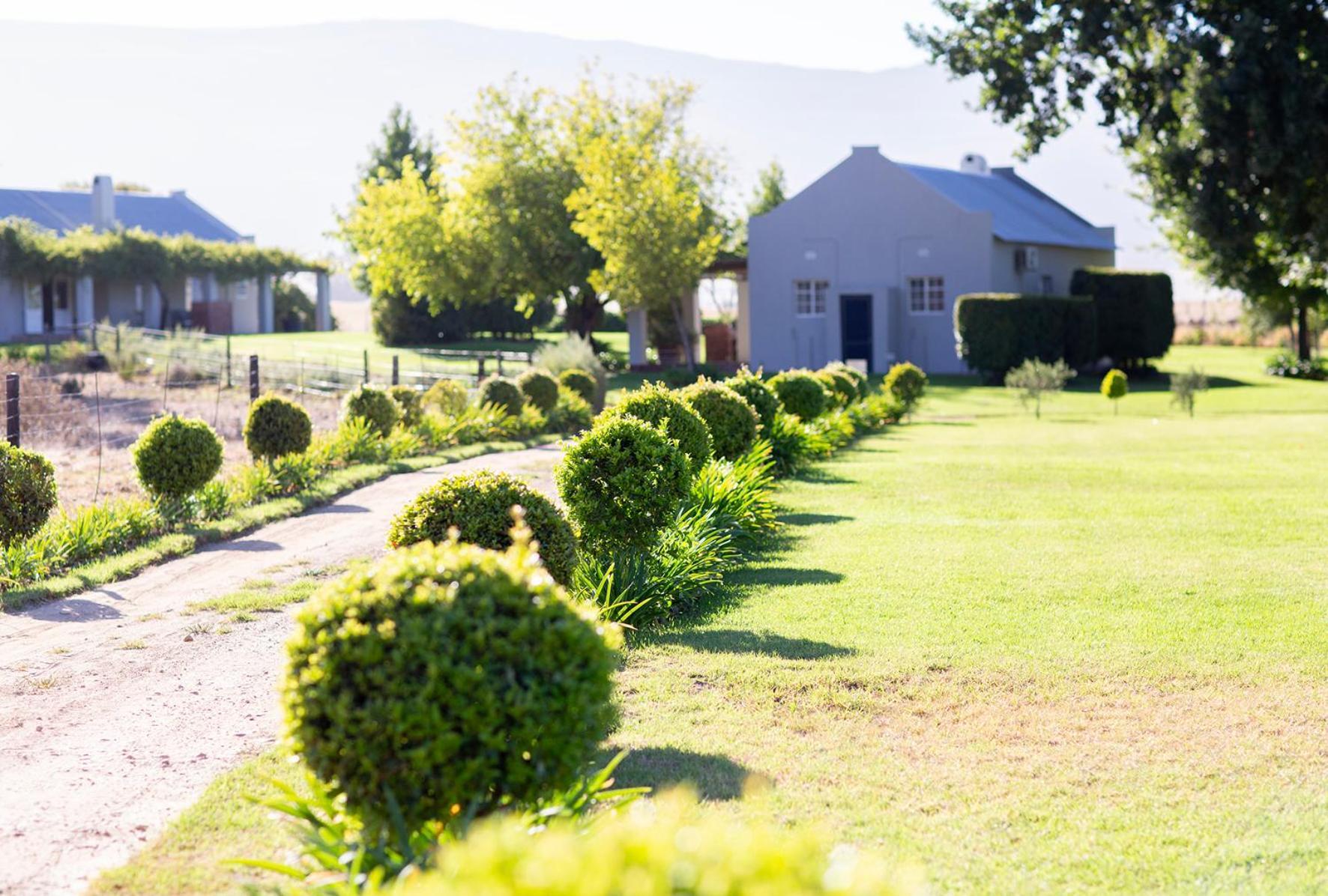 Saronsberg Vineyard Cottages Тульбах Экстерьер фото