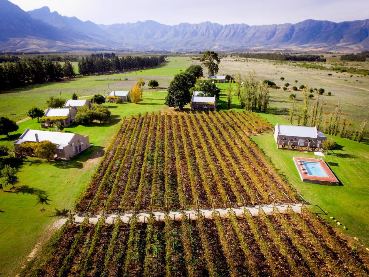 Saronsberg Vineyard Cottages Тульбах Экстерьер фото